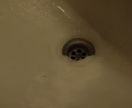 Otsides elluj&auml;&auml;misv&otilde;imalusi