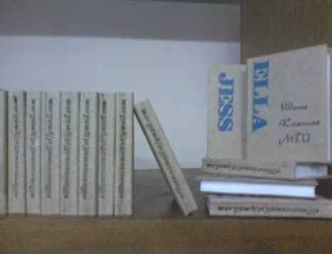 Veebruaris alustavad ilmumist kaks uut kirjandusajakirja