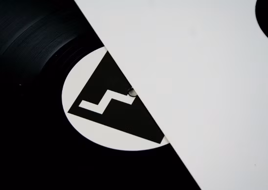 Video fookuses: Ajukaja & Andrevski – „Rare Birds”