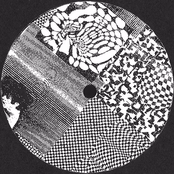 Snakehouse&rsquo;is esineb t&auml;na New Yorgi house&rsquo;i- ja teknoprodutsent Hank Jackson