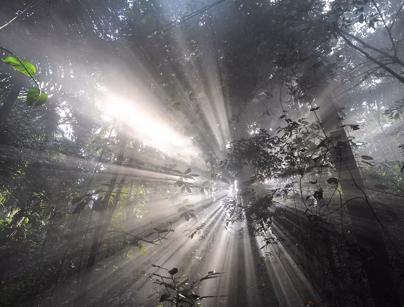 Käibetõdede piiridest poeesiani