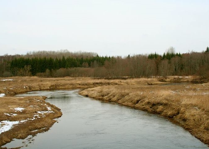 Alam-Pedja looduskaitseala. Foto: Annika Juhkanson
