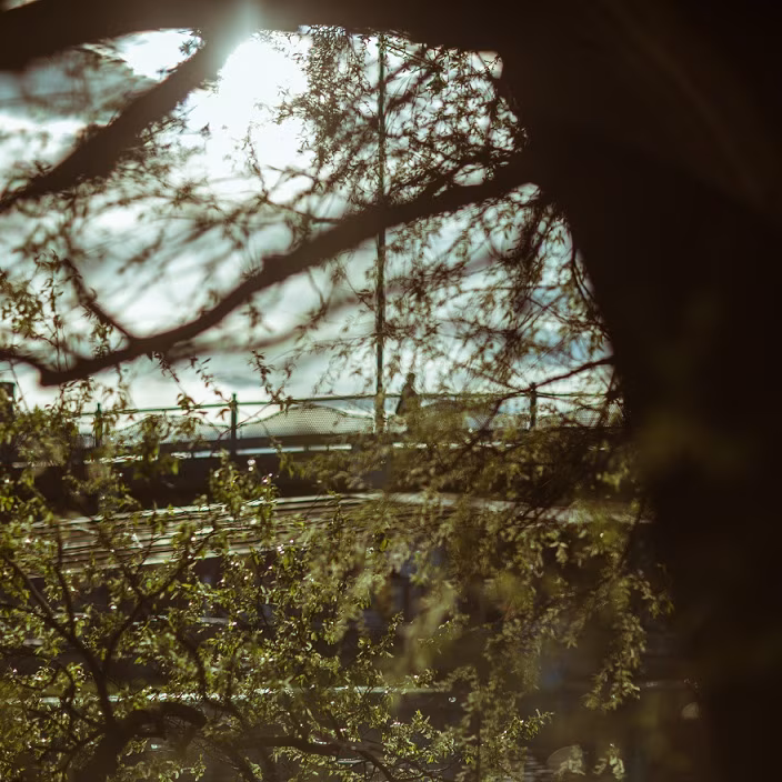 Kontsert-etendus „Metsik metsik linn” Kütiorus