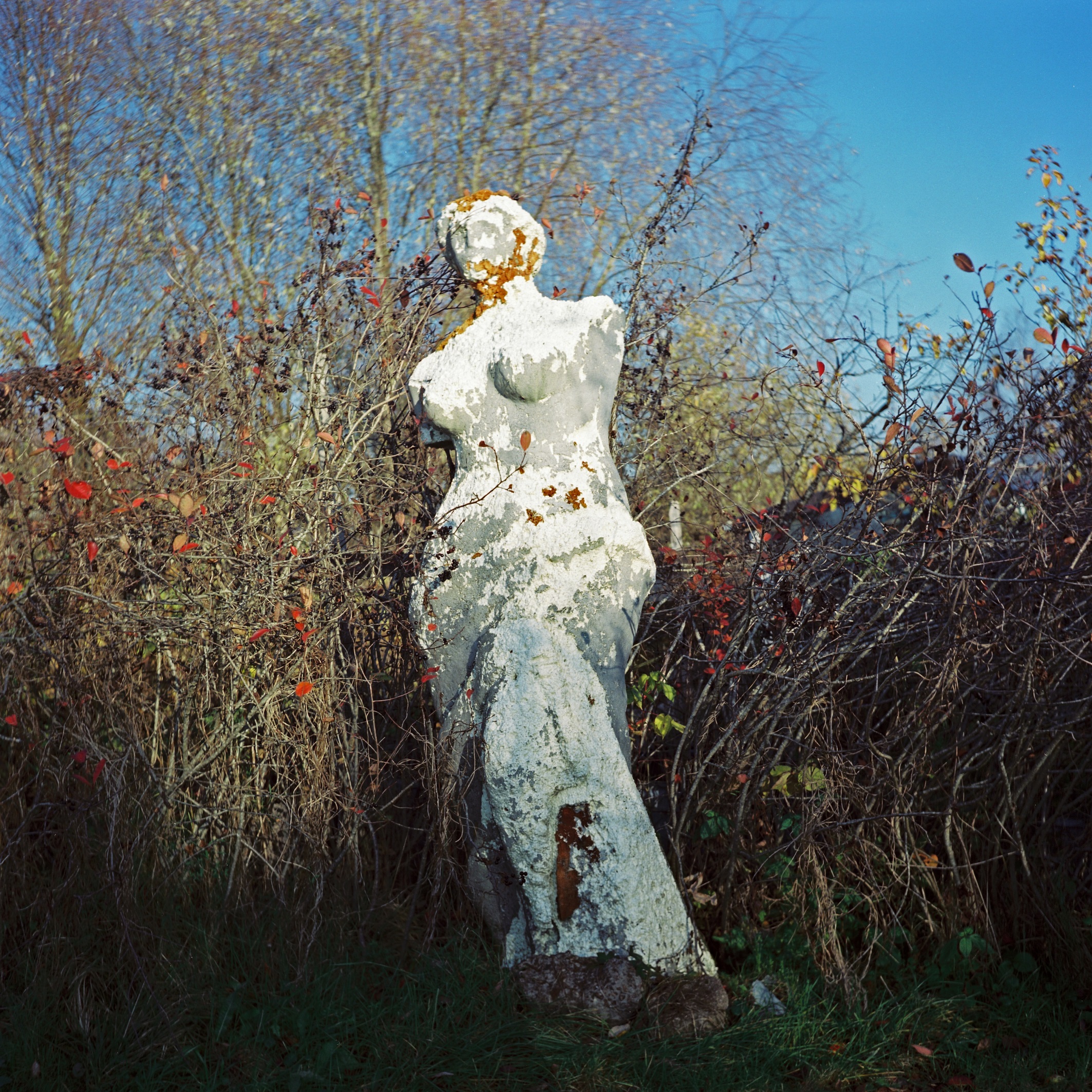 Venus de Milo, 26.10.2011