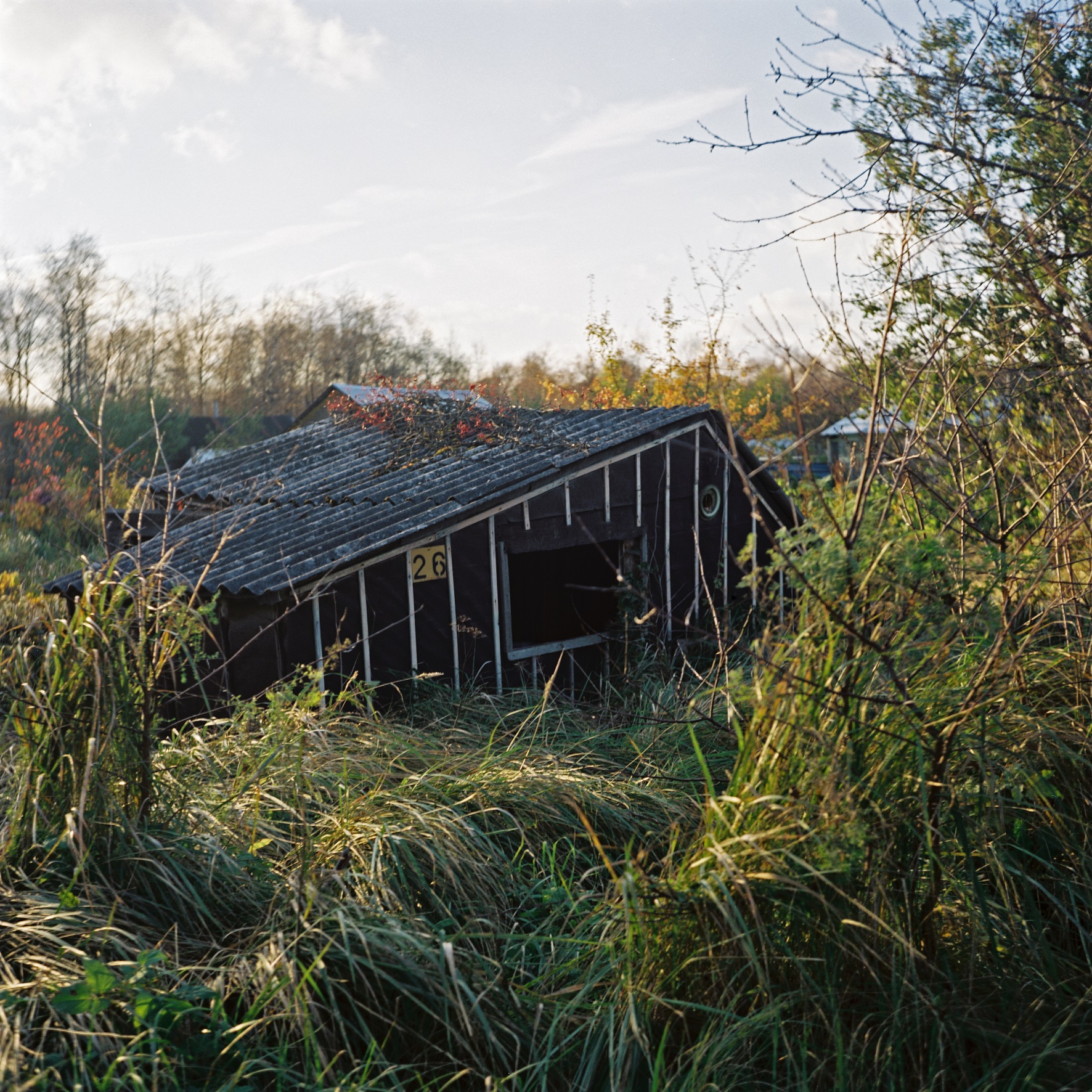 Untitled, 02.10.2010