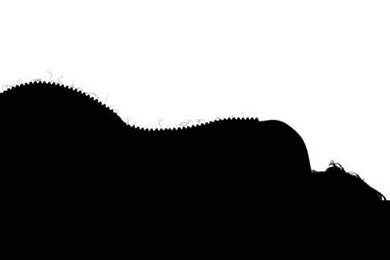 Täna avatakse Hobusepea galeriis rahvusvaheline näituseprojekt „The Homunculus Collection”