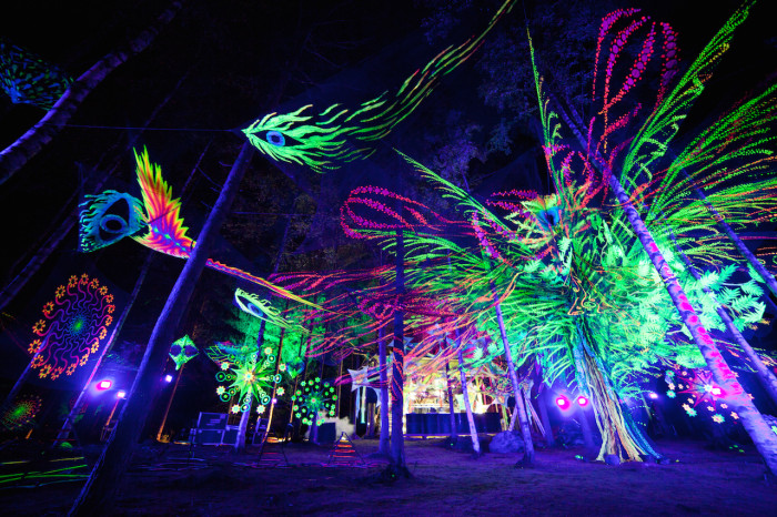 Metsäfestival 2014. The largest alternative music and arts festival in Finland that represents Suomisaundi and psytrance.