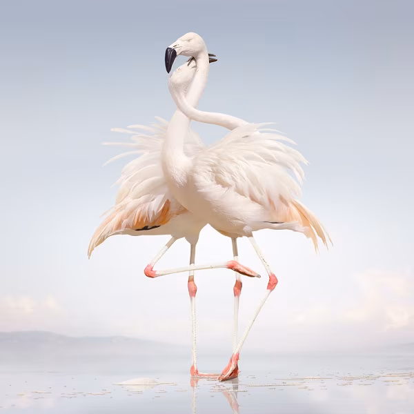 Plaadiarvustus: Rustie – Green Language (Warp, 2014)