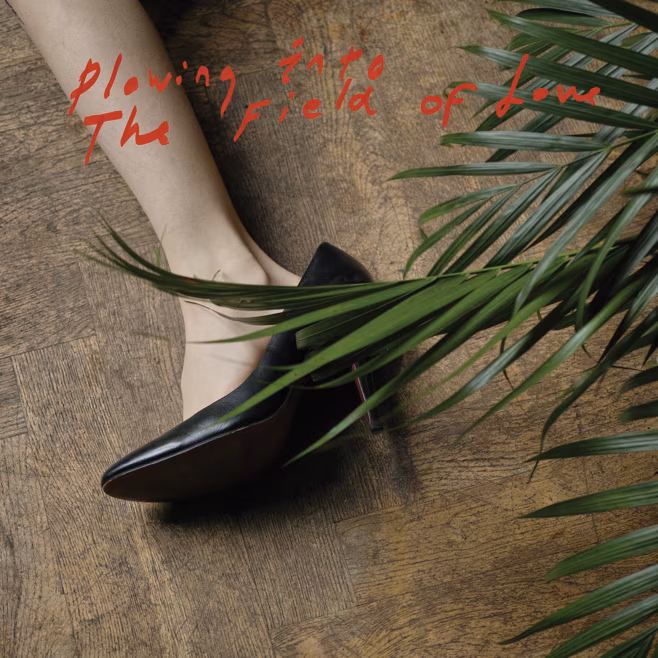 Plaadiarvustus: Iceage &ndash; Plowing Into the Field of Love (Matador, 2014)