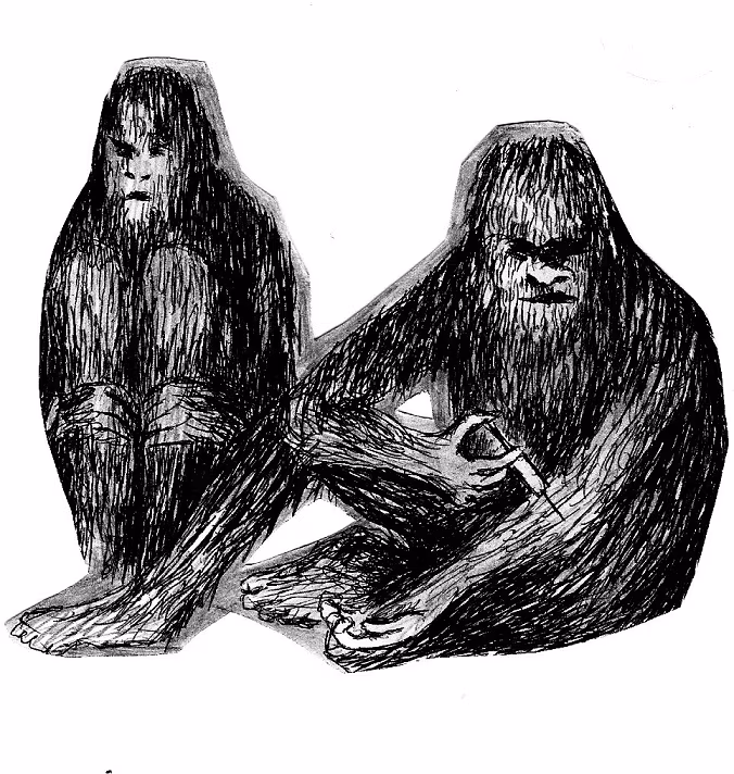 H&auml;iriva heli anarhia