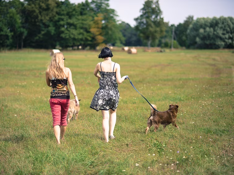 Anna hoogu: raamat looma&otilde;iguslusest
