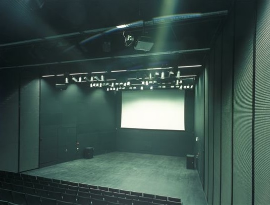 Kumu auditoorium. Foto: Kumu