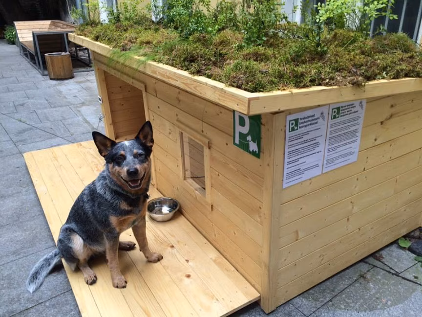 Eesti Loodusmuuseumi vastavatud koeraparkla lubab koeraomanikele muretut muuseumikülastust