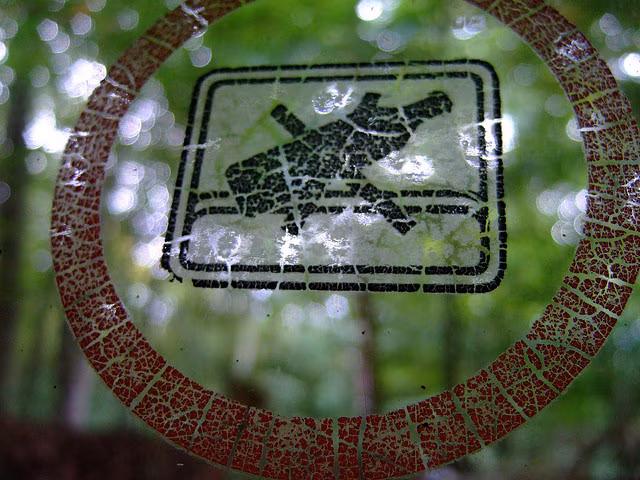 Kaine september. Nädal kaks pluss veel natuke. Tähelepanekuid.