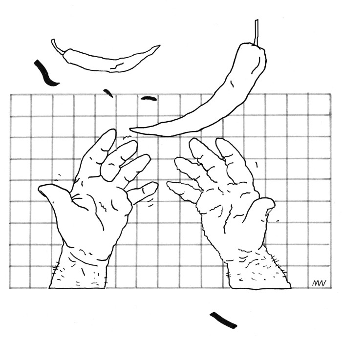 Illustratsioon: Ann Pajuväli