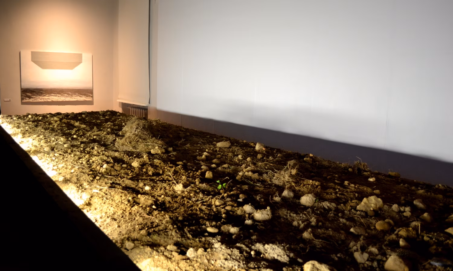 Transgressiivne kartulipõld