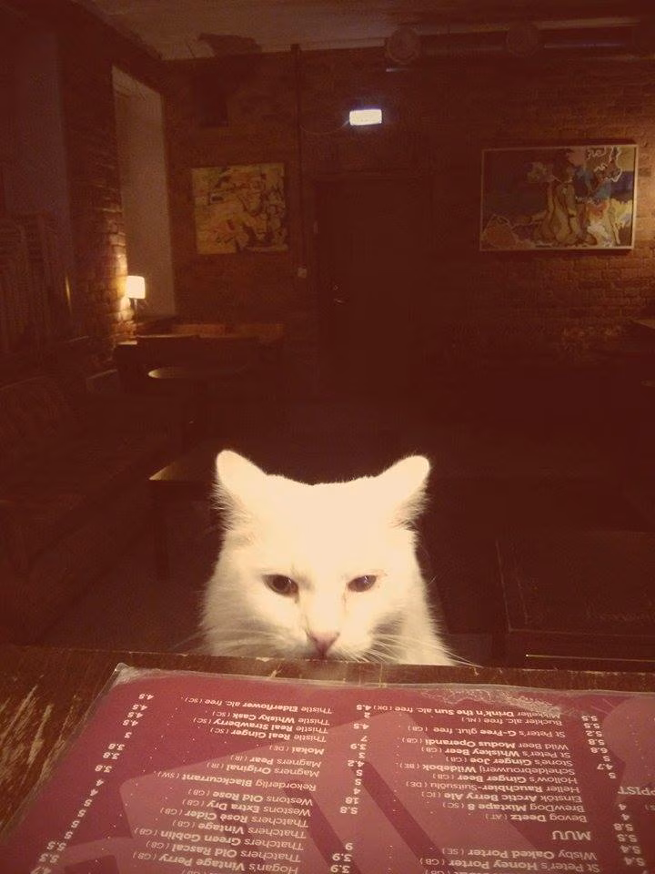 Uus hooaeg: kilulinlastele jäävad lemmikpeosarjad, Emajõe Ateenas võidutsevad viktoriinid