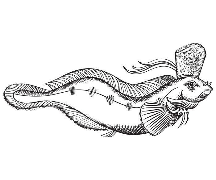 Muhu tanuga emakala. Merekultuuriaasta ametlik illustratsioon: Maret Põldre / Identity