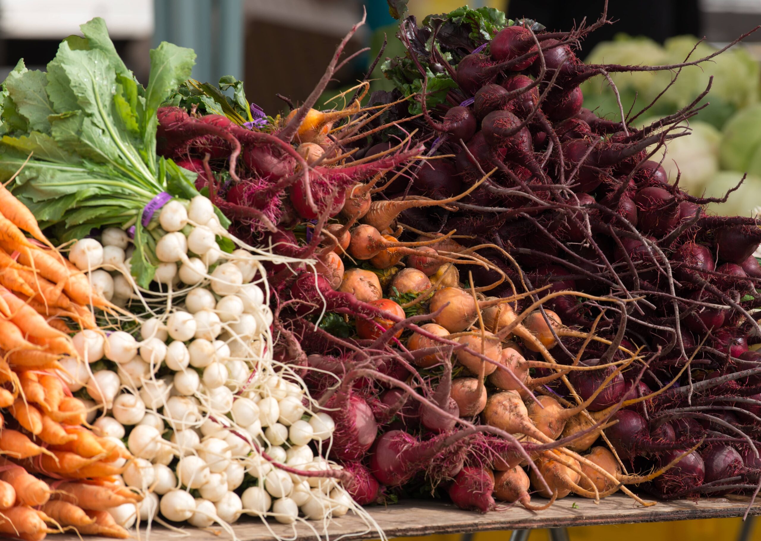 Juurikad maheturul Berkeleys. Foto: C. Coetzee (CC by 1.0)