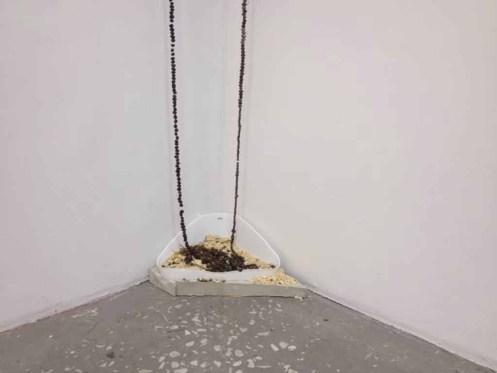 Edith Karlsoni &bdquo;Vox populi&rdquo; r&auml;&auml;gib &auml;ras&ouml;&ouml;mise ja s&ouml;&ouml;duks saamise igikestvast ringist