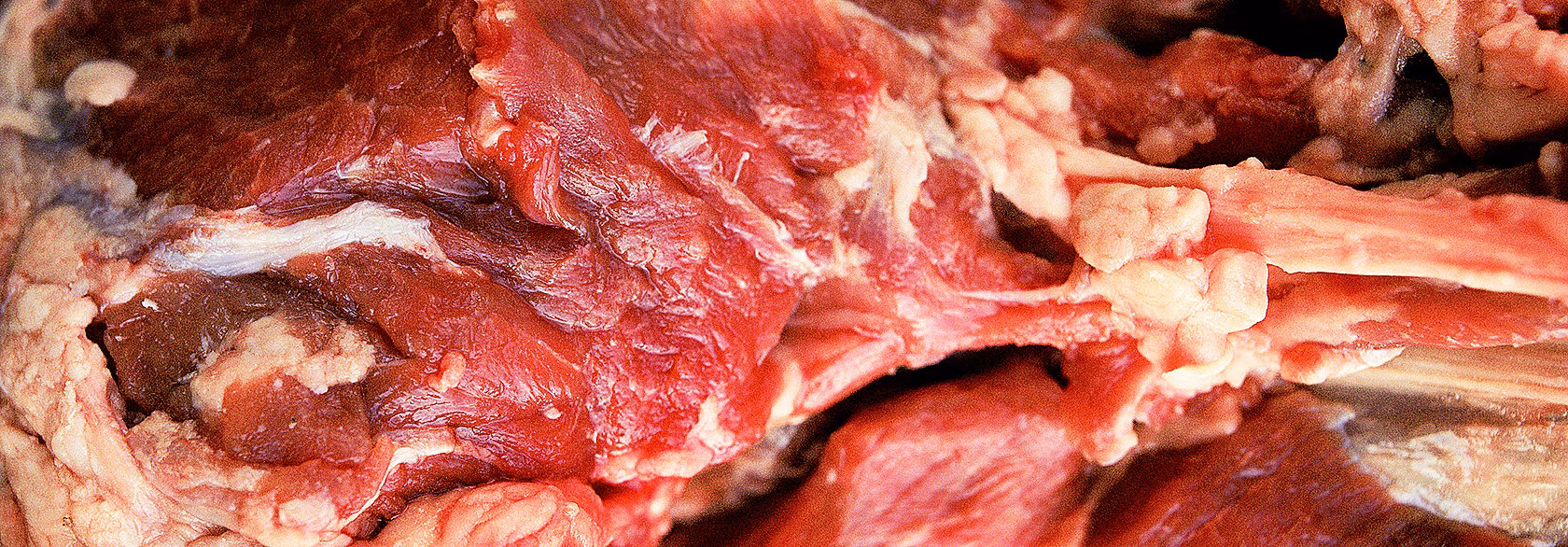 Kellel on õigus süüa liha?