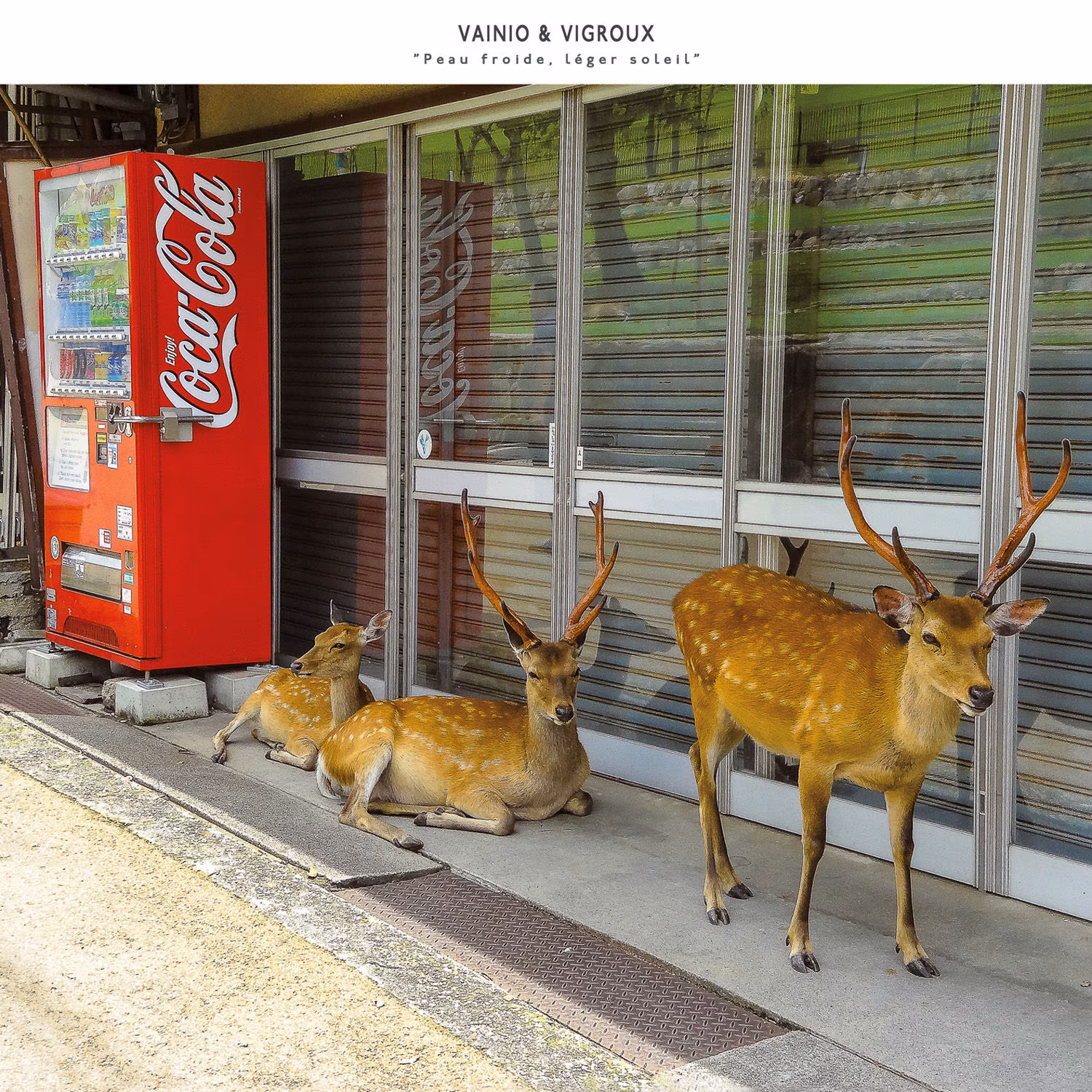 Vainio & Vigroux – Peau Froide, Léger Soleil (Cosmo Rhythmatic, 2015)