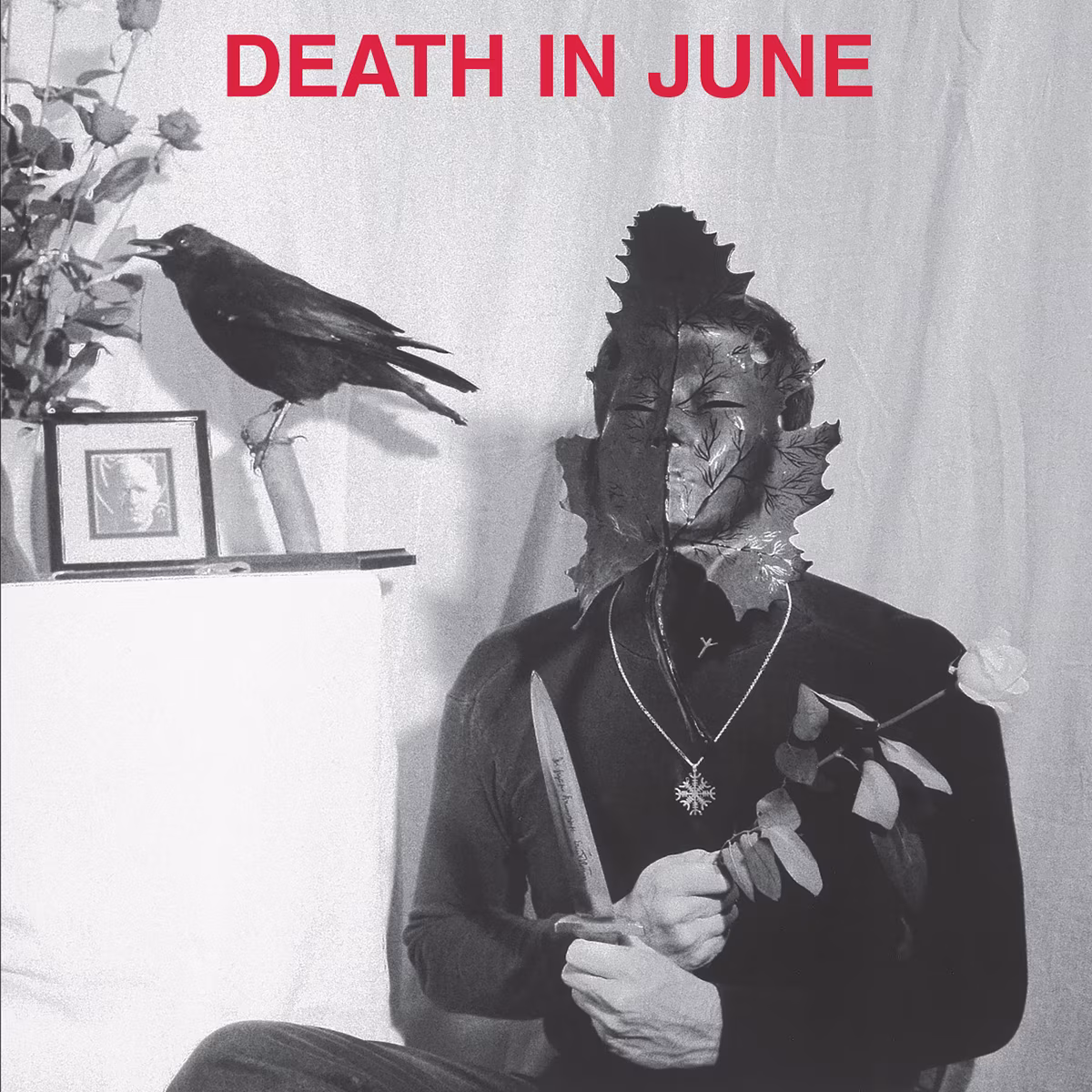 Neofolgi mitu tähendust aastal 2016