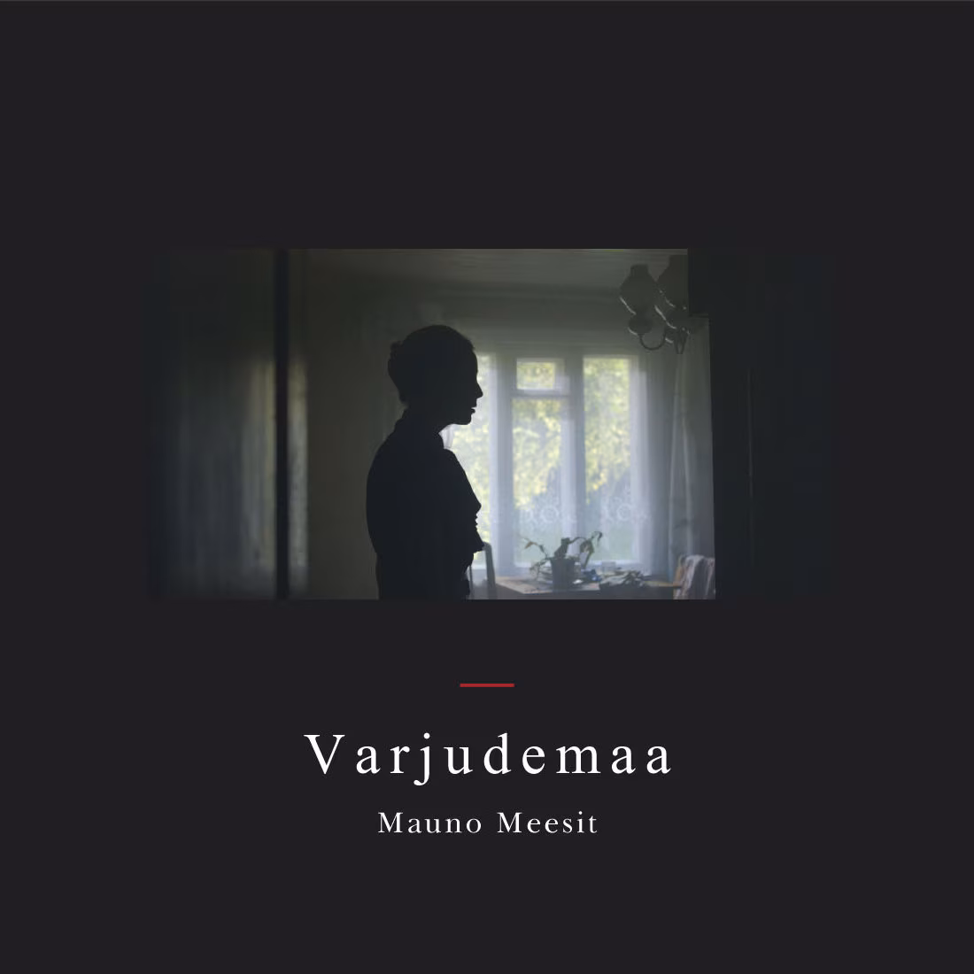 Mauno Meesit – Varjudemaa (Grainy Records, 2015)