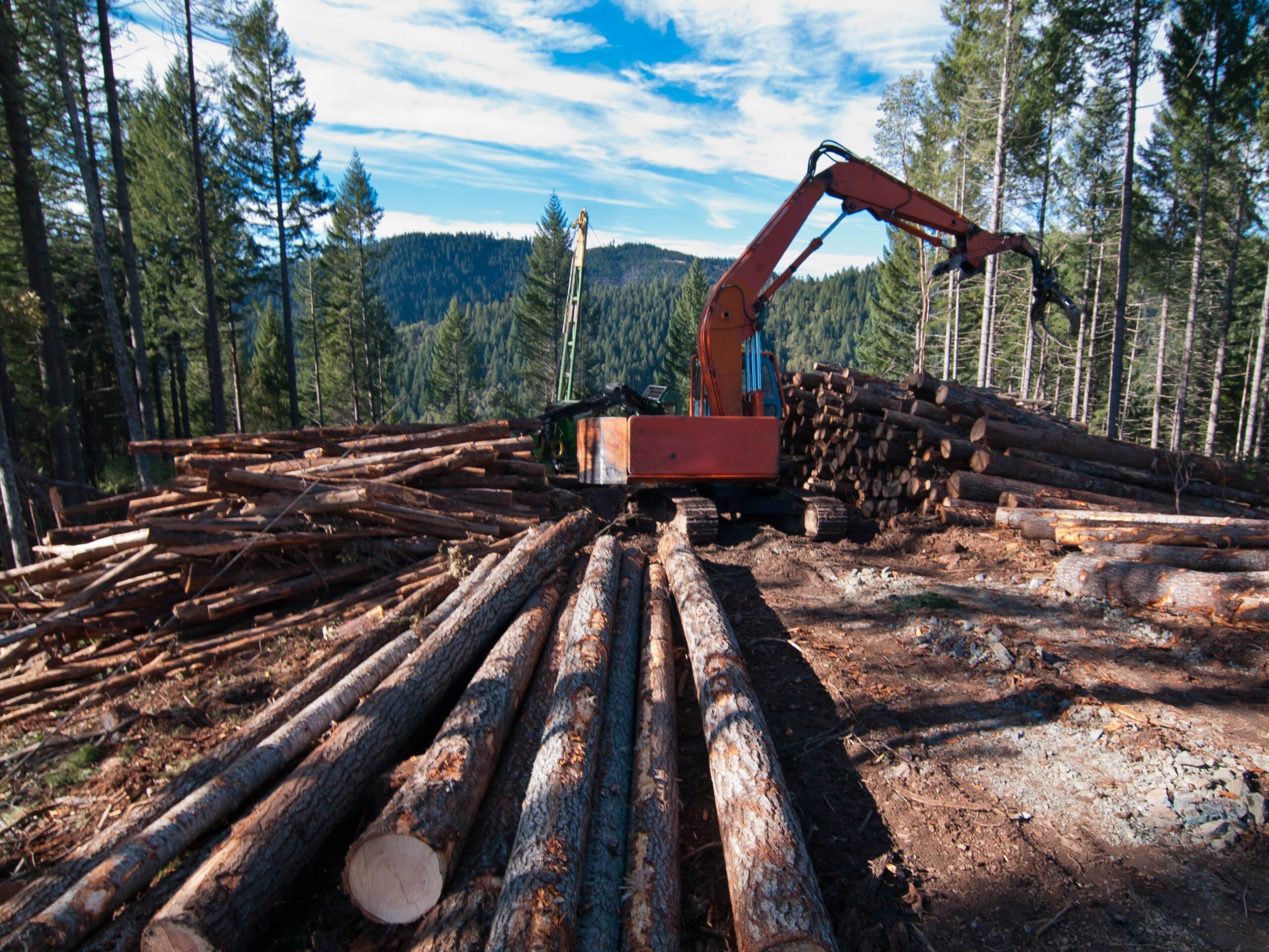Foto: Oregon Department of Forestry (CC by 2.0)