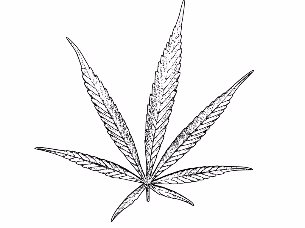 Tabuteema meditsiinis&uuml;steemis