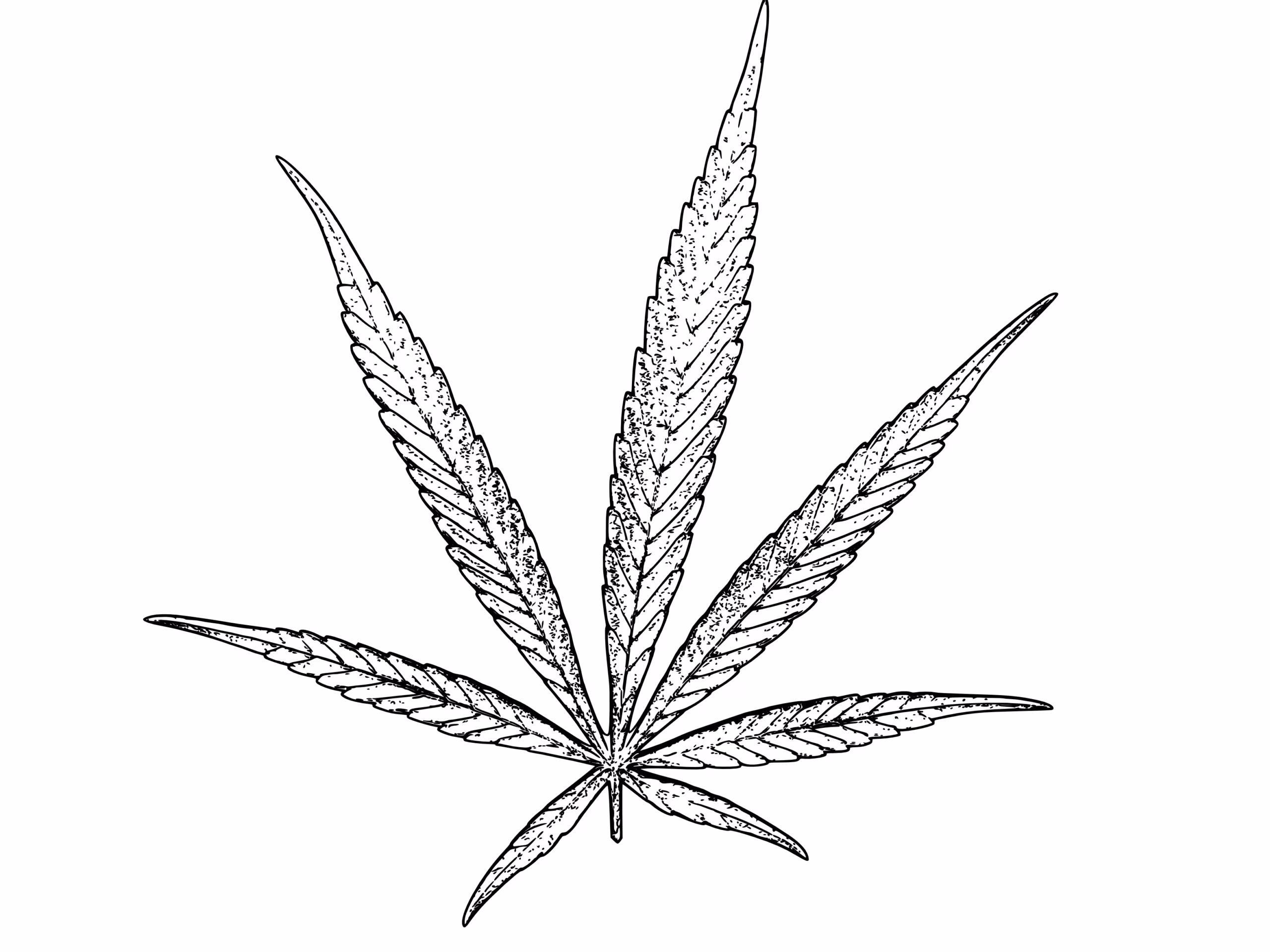 Tabuteema meditsiinisüsteemis