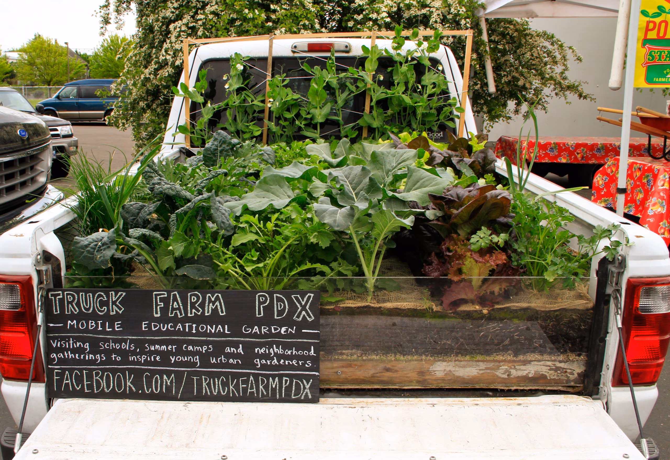 Miks autokastis kaalikaid kasvatada? Taimetoidumessil näeb dokfilmi linnapõllundusest