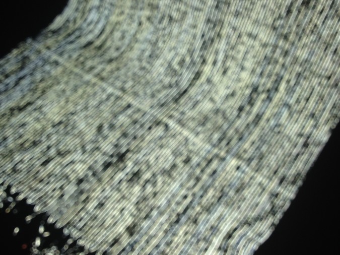 Installatsioon näituselt „Live Streams”.