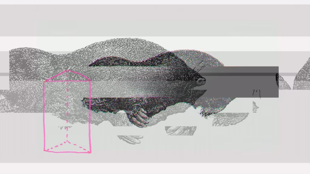 Grafodroomis toimub laup&auml;eval eksperimentaalmuusika &ouml;&ouml;