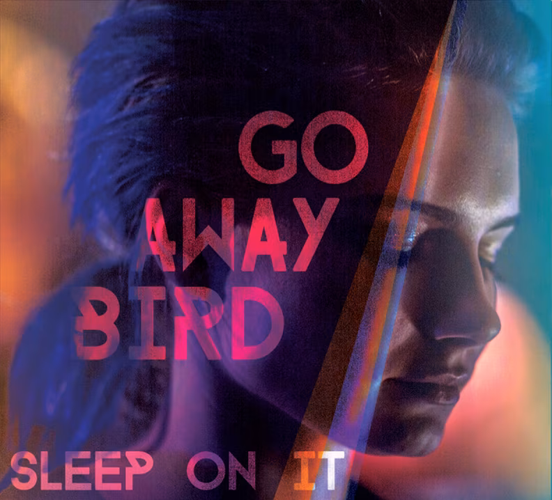 Go Away Bird – Sleep On It (2016)
