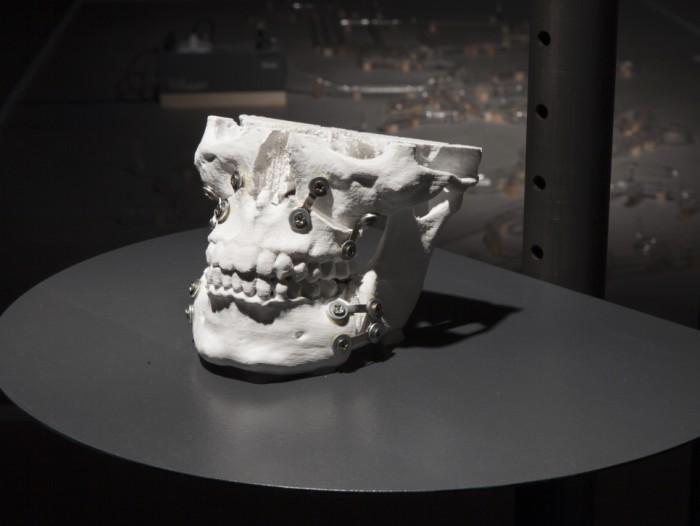 Kuang-Yi Ku „The Fellatio Modification Project” Transmediale näitusel „alien matter”. Foto: Luca Girardini (CC NC-SA 4.0)