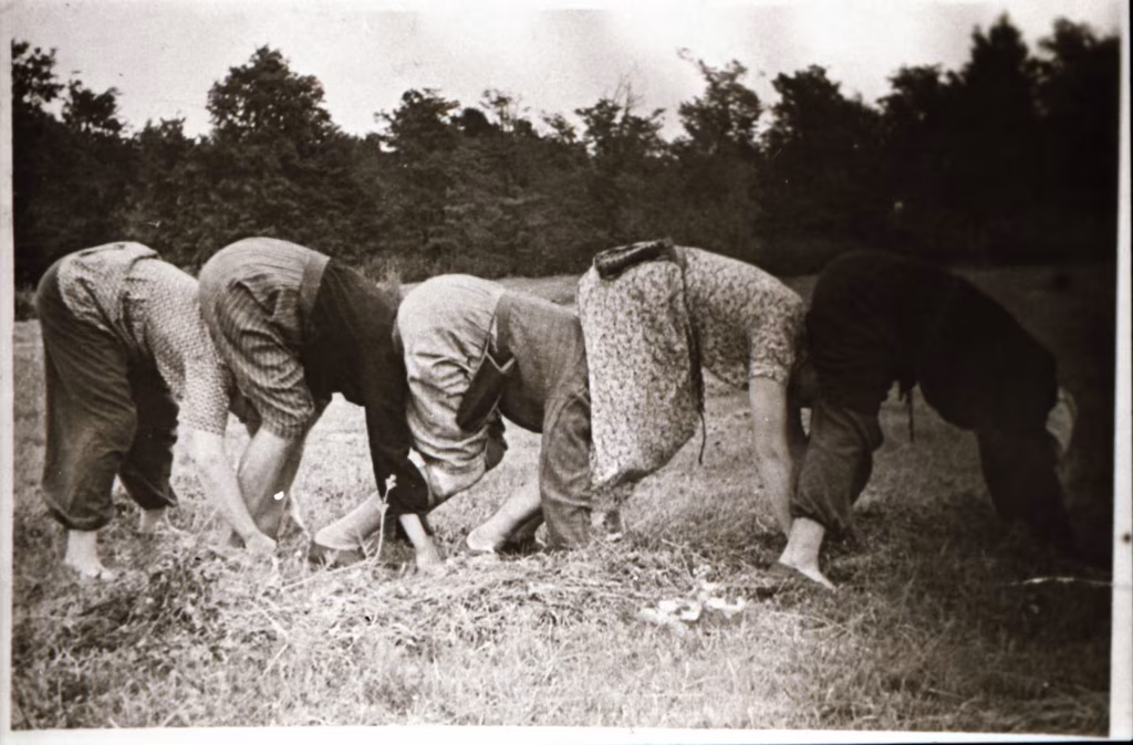 Talurahva seksuaalelu mõistatusi