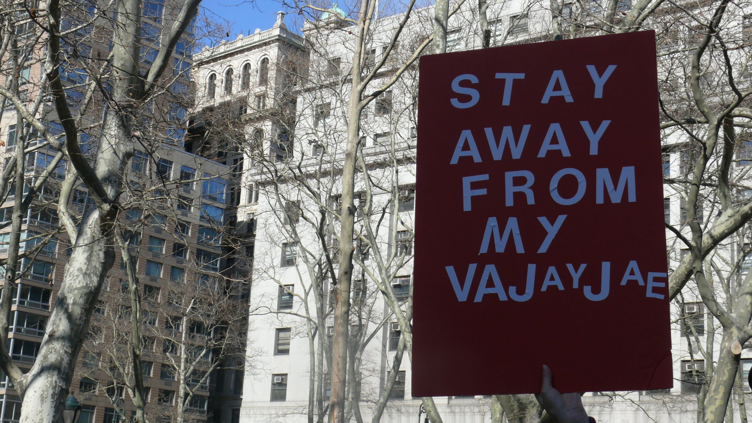 Lapsevanemaks saamise otsustamisvabadust toetav rahvakoosolek 26. veebruaril 2011 New Yorgis. Foto: Women’s eNews (CC BY 2.0)