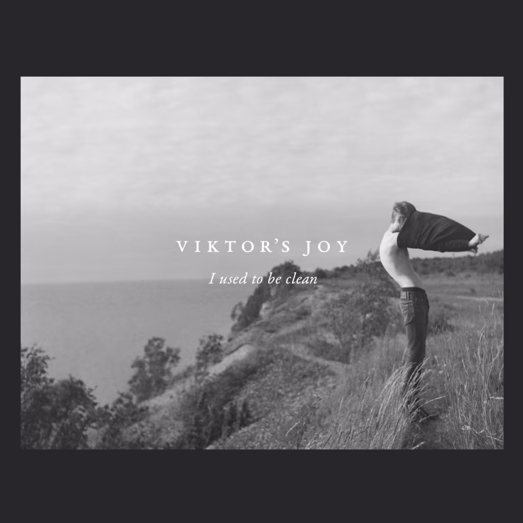 Viktor&rsquo;s Joy &ndash; I Used to Be Clean (Grainy Records, 2017)