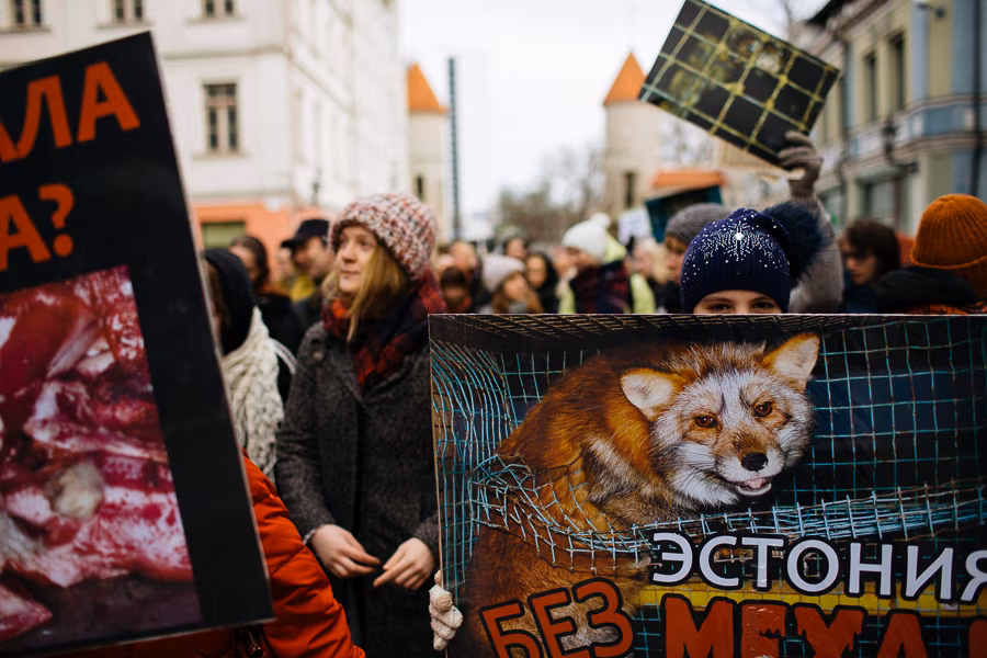 Galerii: Kodanikud avaldasid meelt karusnahafarmide keelustamise poolt