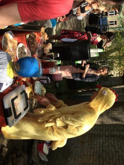 Kalamaja hoovikohvikutes kohtab nii karvaseid kui sulelisi. Foto: press