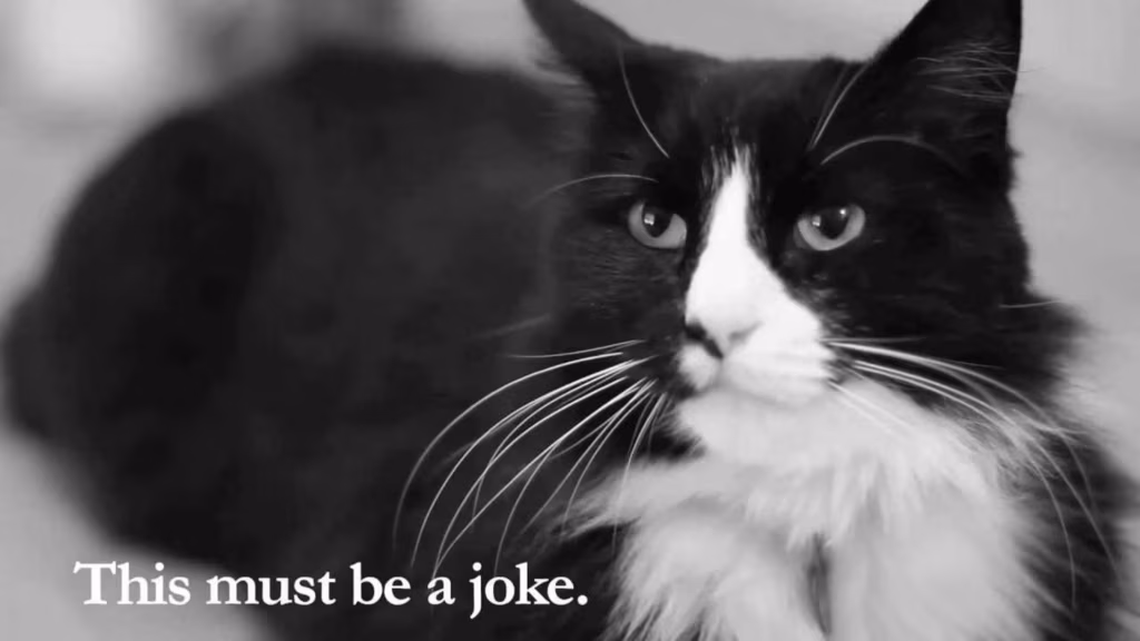 Kassipildituumaplahvatus