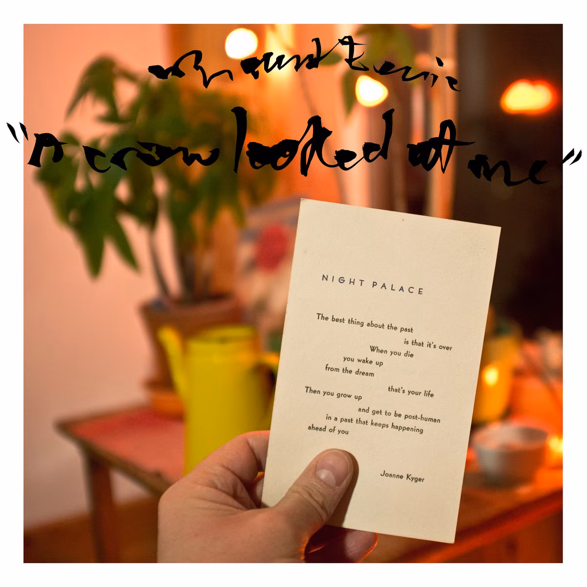 Mount Eerie – A Crow Looked At Me  (P.W. Elverum & Sun, 2017)