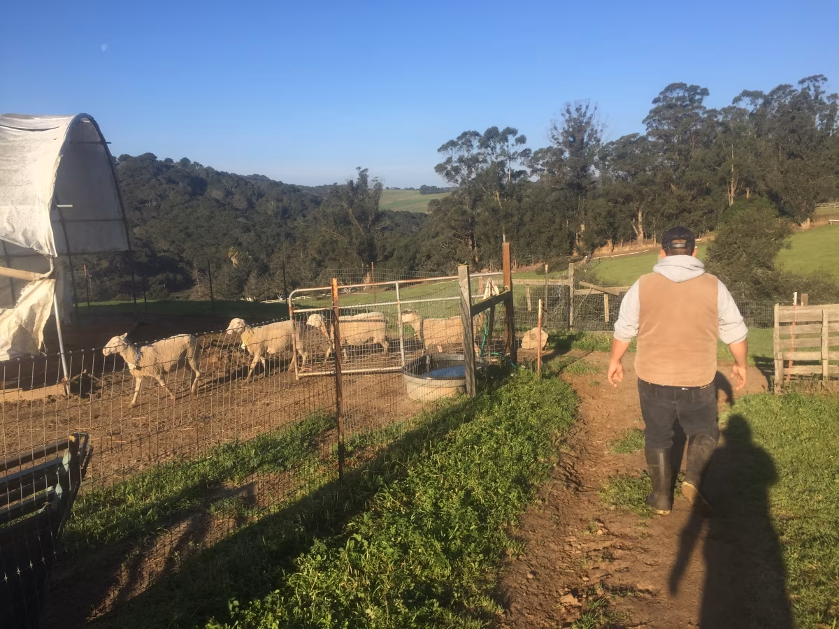 USA toiduainetööstus vajab sisserändajaid