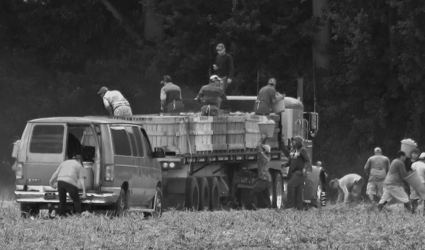 Immigrantidest farmitöölised USAs. Foto: Flickri kasutaja Gerry Dincher (CC BY-SA 2.0)