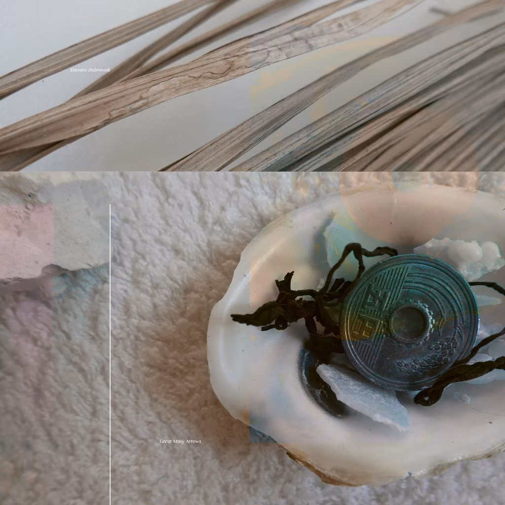 Damien Dubrovnik – Great Many Arrows (Posh Isolation, 2017)