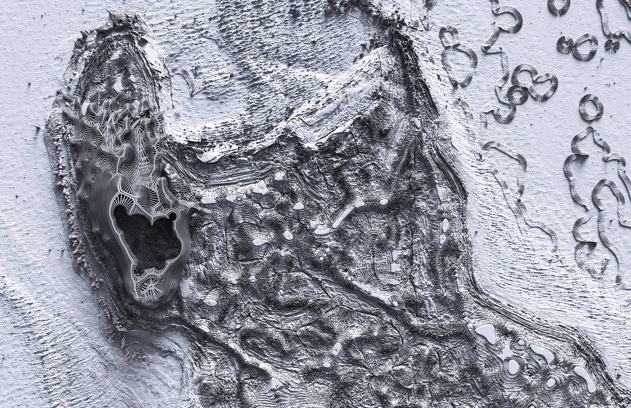 Foto TABi kuraatorinäituselt