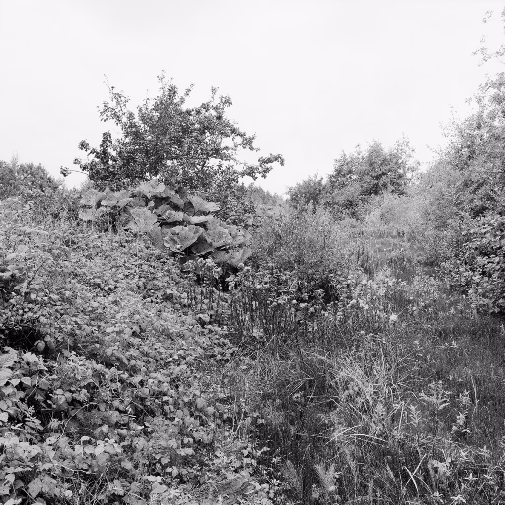 Taavi Tulev / Kristjan Raidna &ndash; AB (Detroit Underground, 2017)