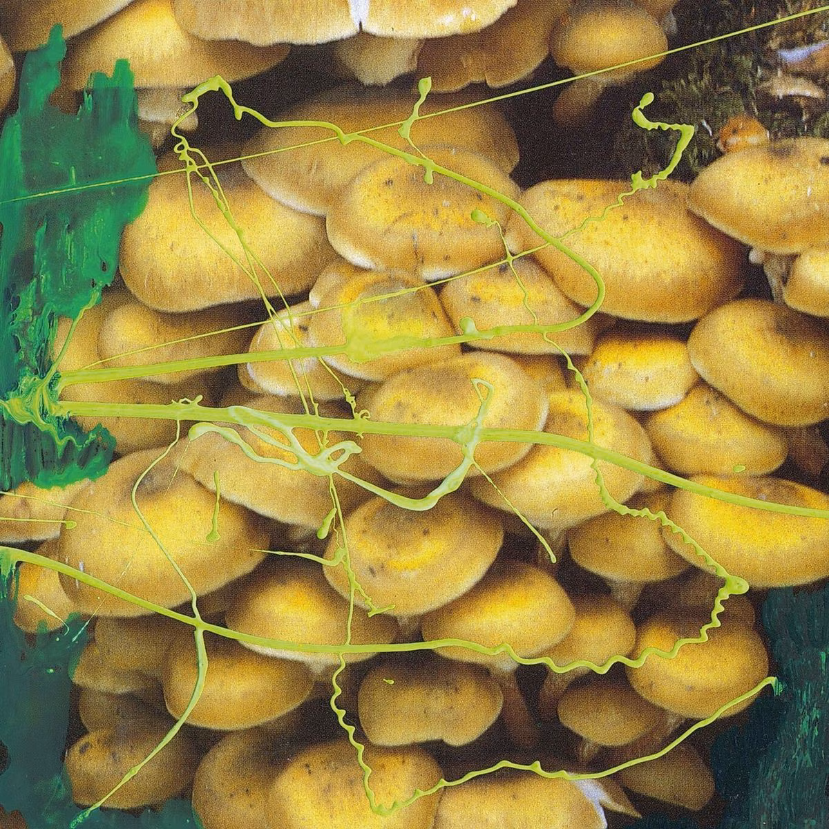 Teresa Winter – Untitled Death  (The Death of Rave, 2017)