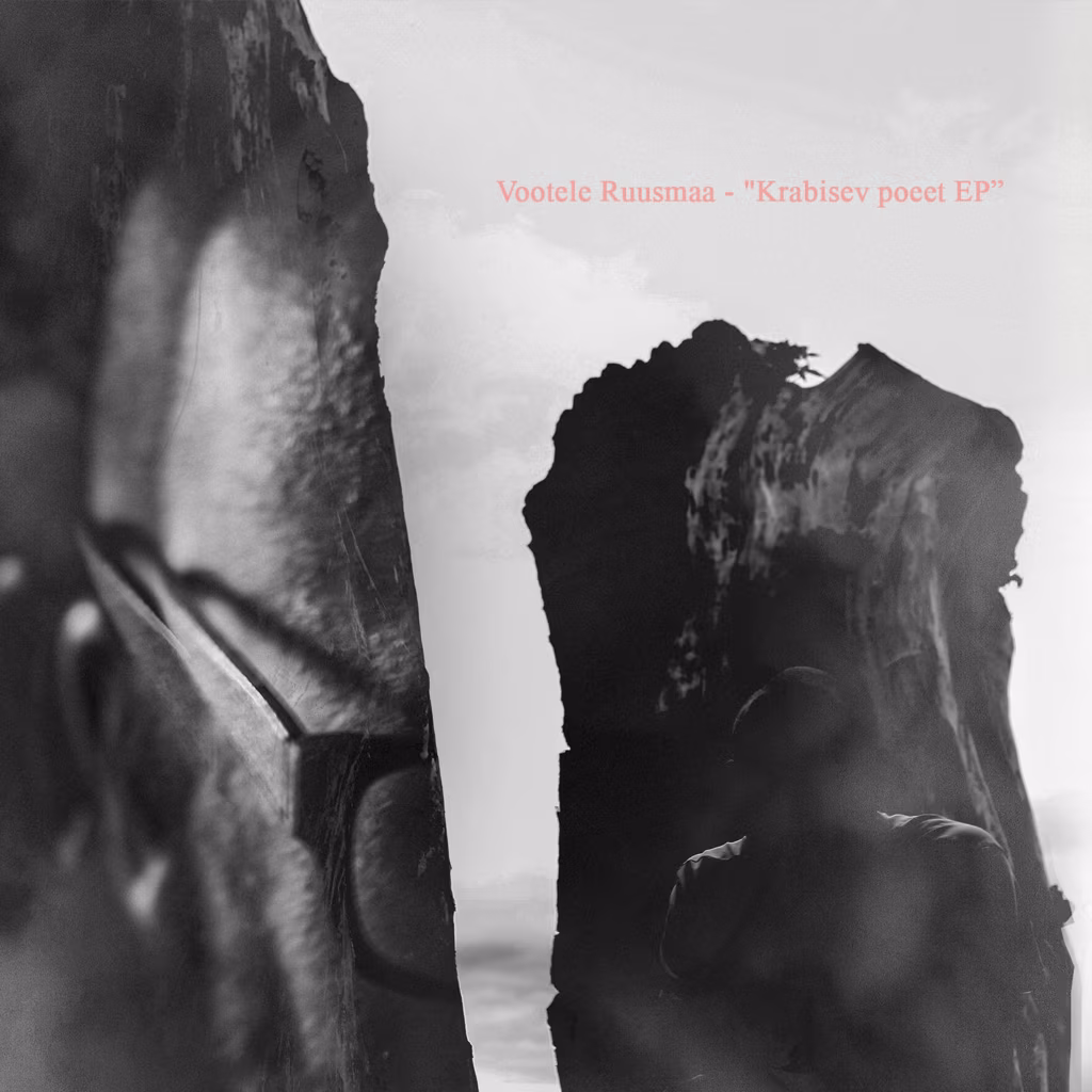 Vootele Ruusmaa &ndash; Krabisev poeet / Audioluule reisip&auml;evik  (2017)